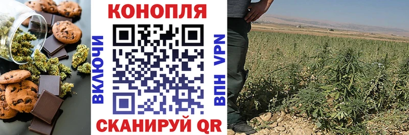Еда ТГК марихуана  Купить закладки  Новороссийск 