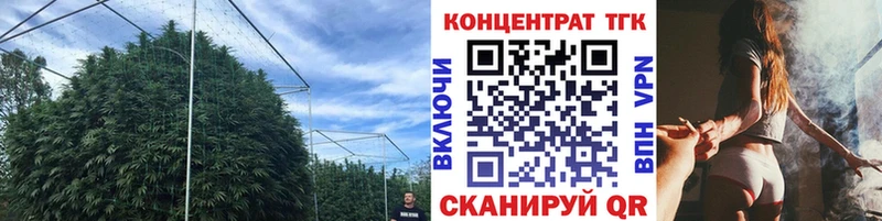 Купить закладки  Новороссийск  ТГК жижа 